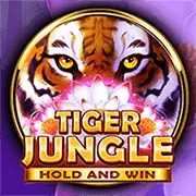 Logo SA Gaming