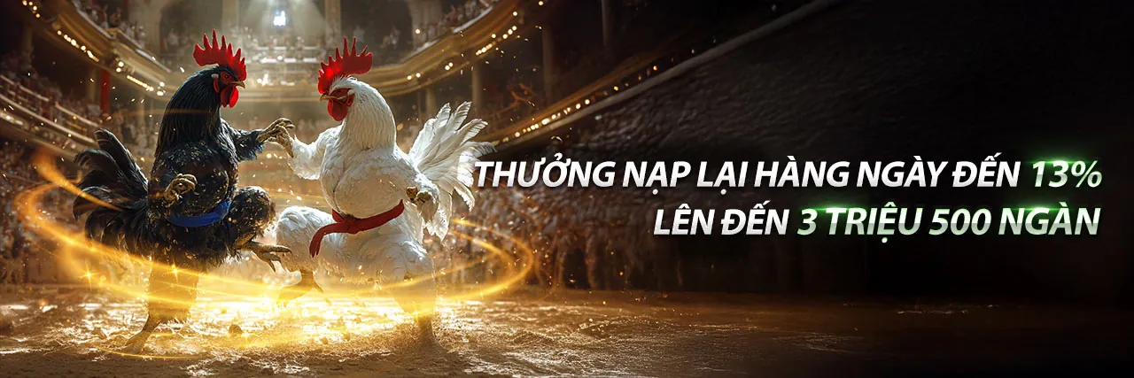 Đá Gà Trực Tuyến OK99 Link Mới, sân đấu kịch tính